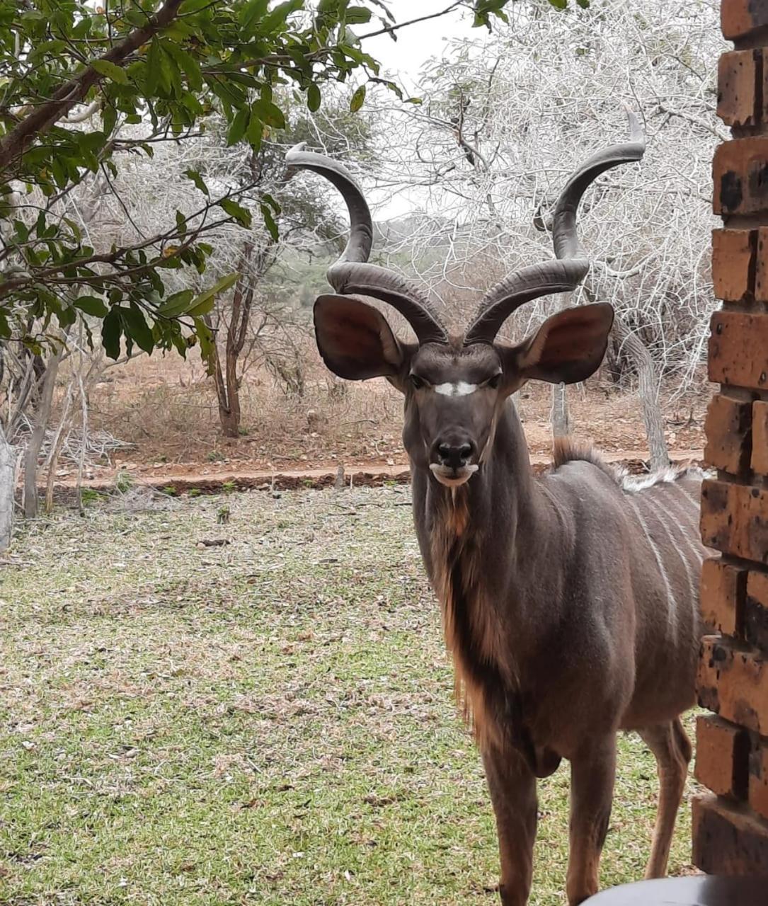 Kruger Riverside Lodge - No Load-Shedding Марлот Парк Екстериор снимка