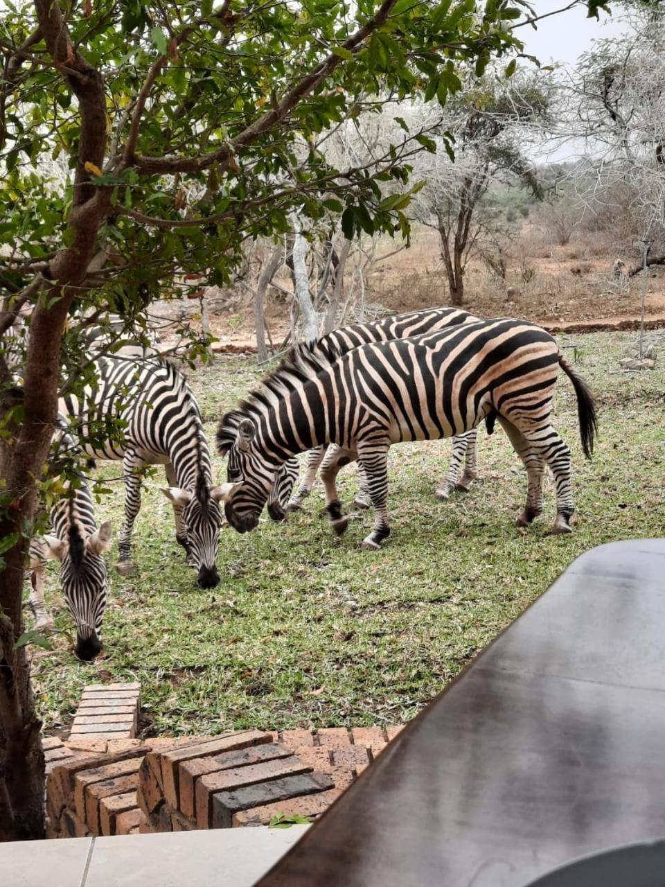 Kruger Riverside Lodge - No Load-Shedding Марлот Парк Екстериор снимка