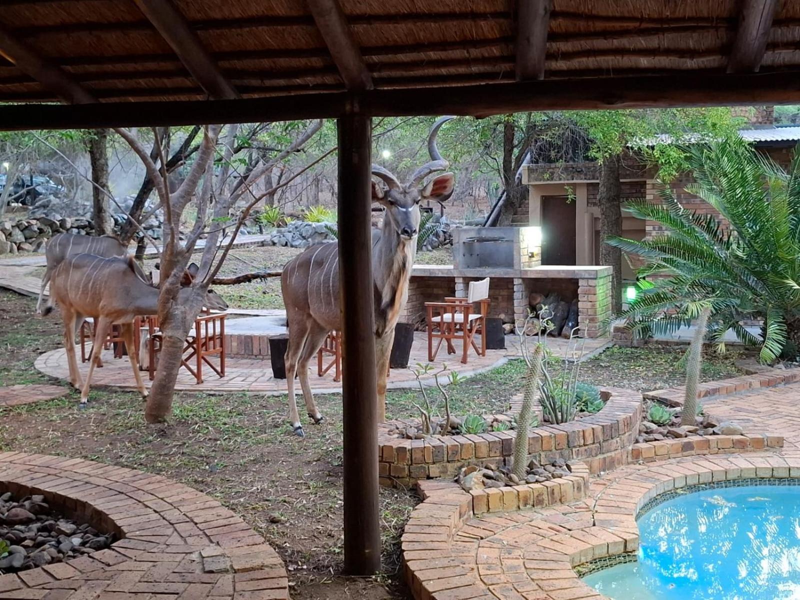 Kruger Riverside Lodge - No Load-Shedding Марлот Парк Екстериор снимка