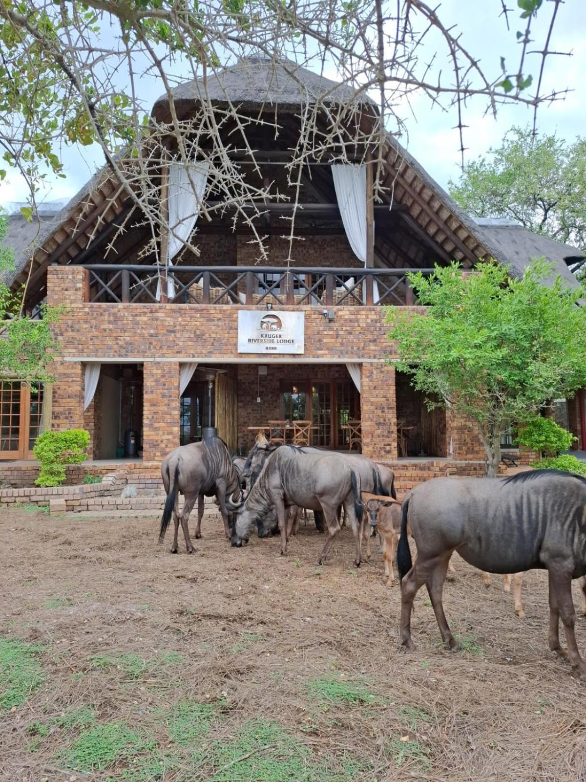Kruger Riverside Lodge - No Load-Shedding Марлот Парк Екстериор снимка