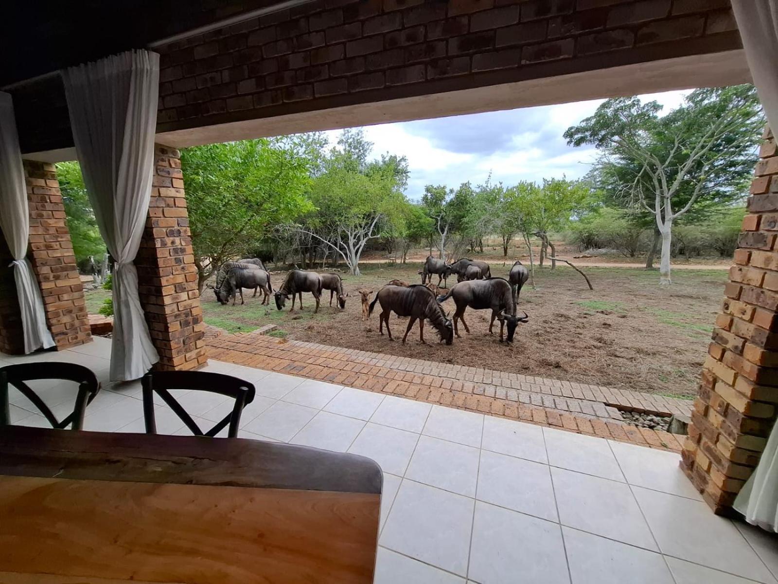 Kruger Riverside Lodge - No Load-Shedding Марлот Парк Екстериор снимка