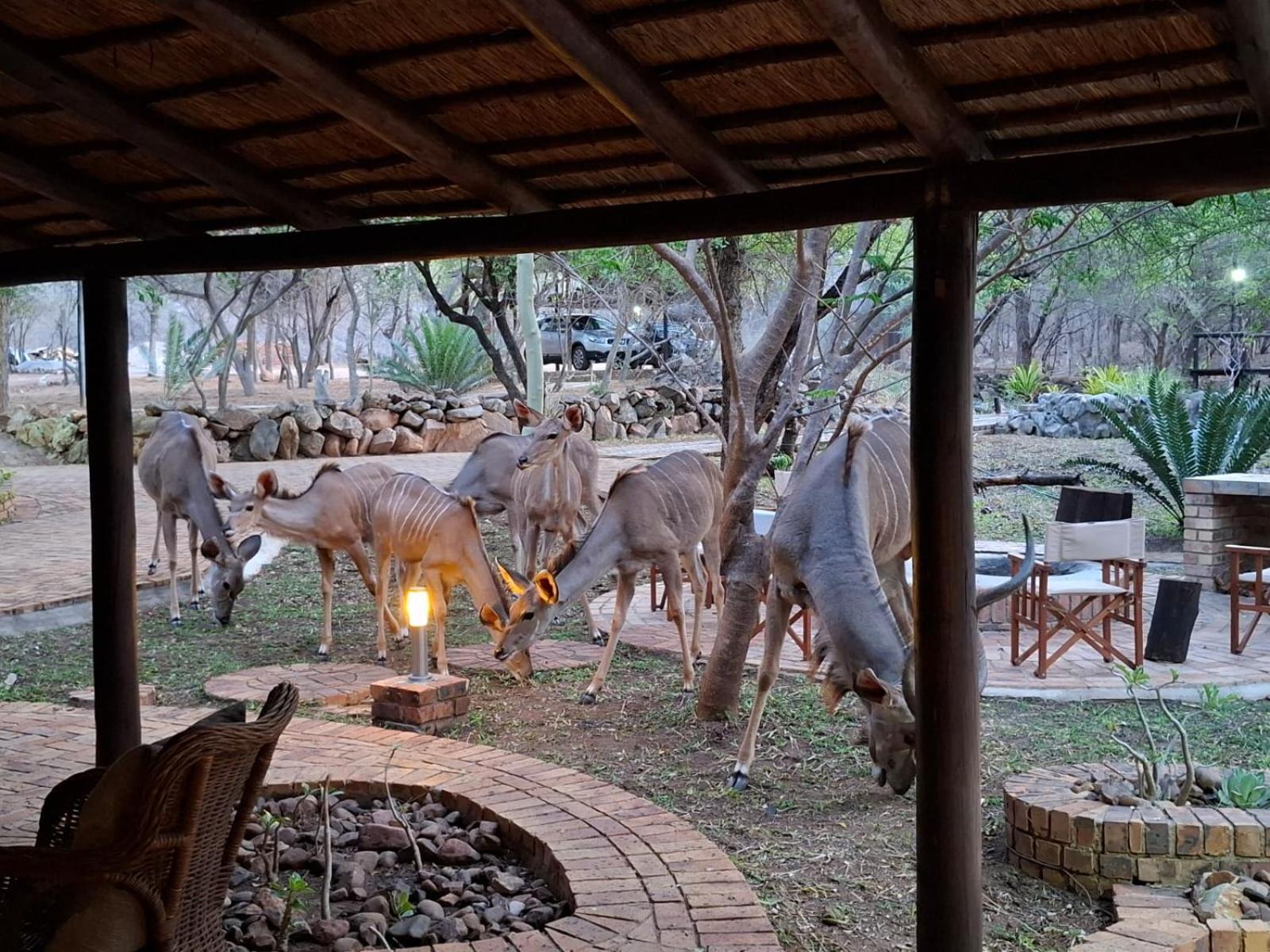 Kruger Riverside Lodge - No Load-Shedding Марлот Парк Екстериор снимка