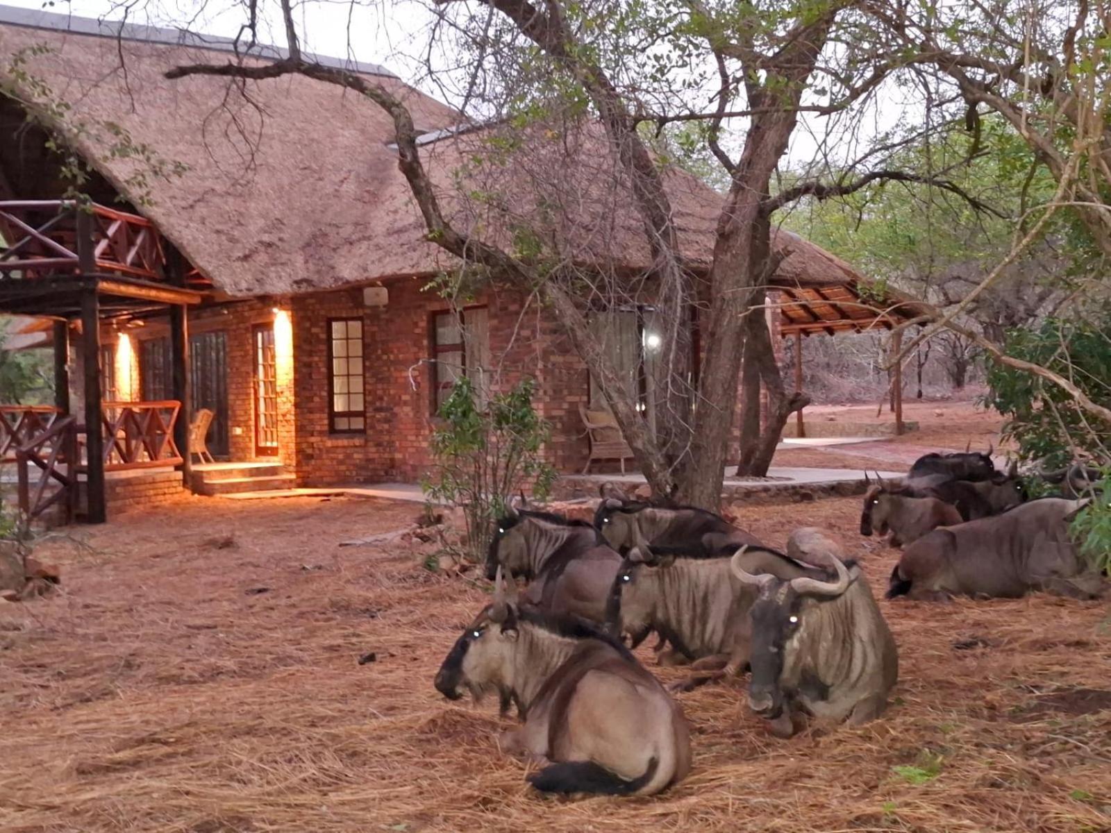 Kruger Riverside Lodge - No Load-Shedding Марлот Парк Екстериор снимка
