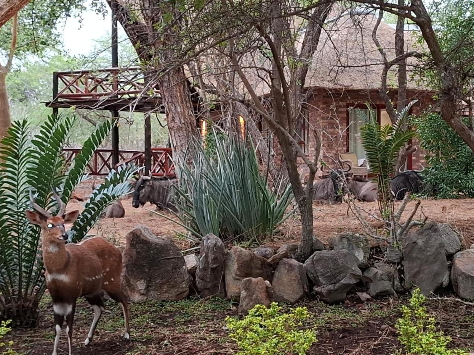 Kruger Riverside Lodge - No Load-Shedding Марлот Парк Екстериор снимка