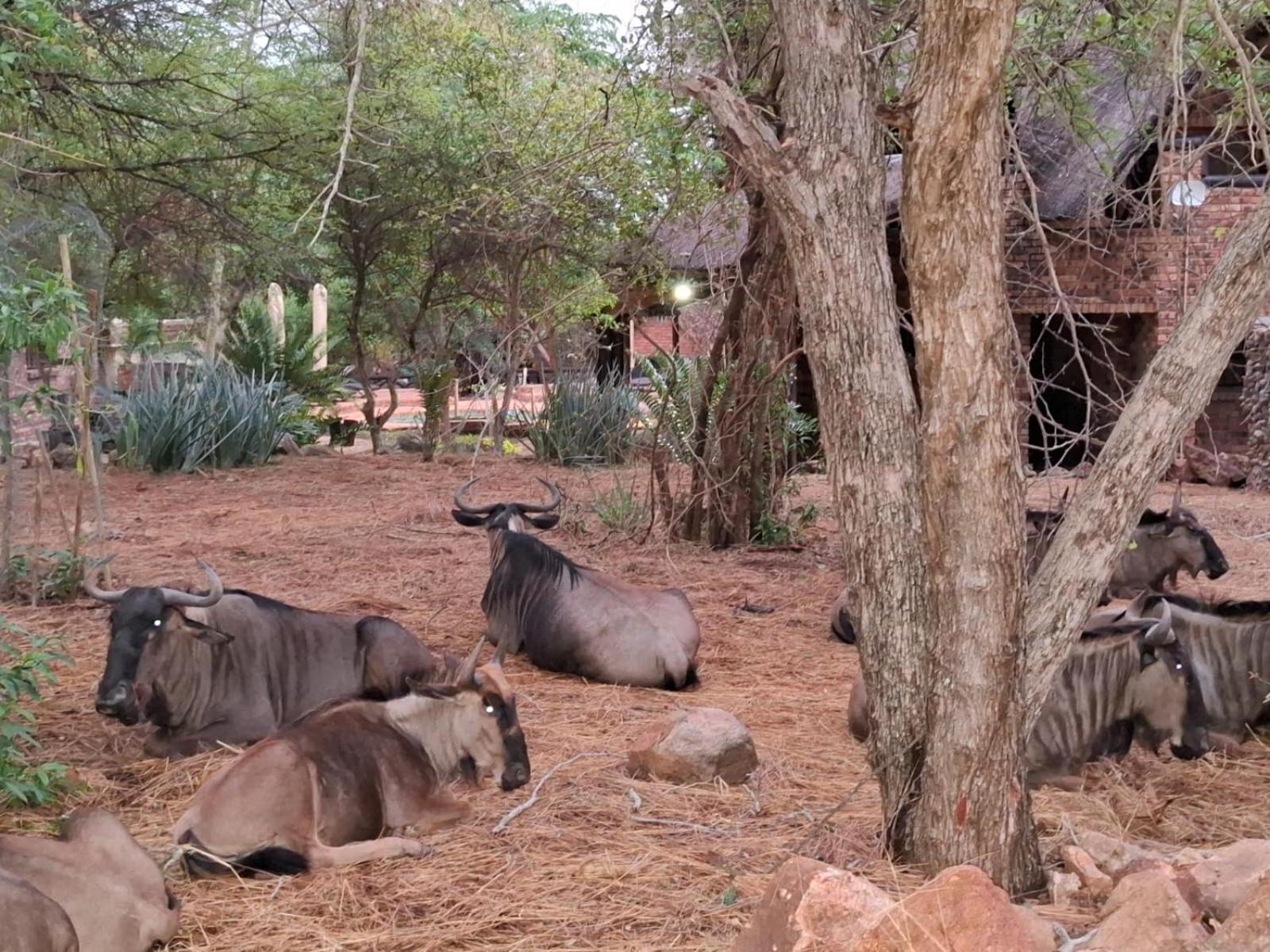 Kruger Riverside Lodge - No Load-Shedding Марлот Парк Екстериор снимка